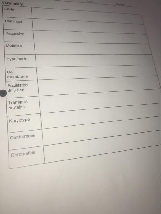 Vocabulary: Perios Allele Dominant Recessive Mutation Hypothesis Cell membrane Facilitated diffusion Transport proteins Karyotype Centromere Chromatids