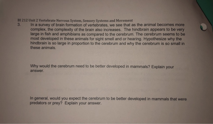 BI 212 Unit 2 Vertebrate Nervous System, Sensory Systems and Movement 3. In a survey of brain formation of vertebrates, we see that as the animal becomes more complex, the complexity of the brain also increases. The hindbrain appears to be very large in fish and amphibians as compared to the cerebrum. The cerebrum seems to be most developed in these animals for sight smell and or hearing. Hypothesize why the hindbrain is so large in proportion to the cerebrum and why the cerebrum is so small in these animals. Why would the cerebrum need to be better developed in mammals? Explain your answer In general, would you expect the cerebrum to be better developed in mammals that were predators or prey? Explain your answer.