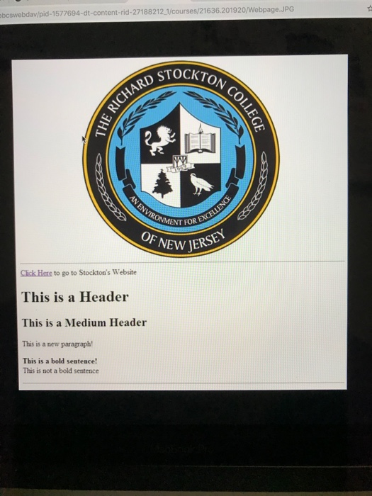 bcswebdav/pid-1577694-dt-content-rid-27188212 1/courses/21636.201920/Webpage.JPG CHARD STOC NT FOR E OF NEW JER Cick Hers to go to Stocktons Website This is a Header This is a Medium Header This is a new paragraph This is a bold sentence! This is not a bold sentence