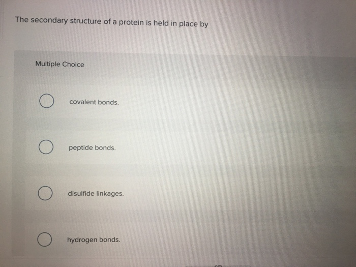The secondary structure of a protein is held in place by Multiple Choice covalent bonds. peptide bonds. disulfide linkages. hydrogen bonds.