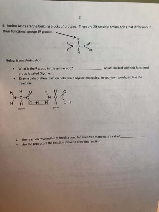 4. Amino Acids are the building blocks of proteins. There are 20 possible Amino Acids that differ only in their functional groups (R group). он Below is one Amino Acid. . An amino acid with this functional What is the R group in this amino acid? group is called Glycine. Draw a dehydration reaction between 2 Glycine molecules. In your own words, explain the reaction. · . N-C-C НН ycine alycine The reaction responsible to break a bond between two monomers is called Use the product of the reaction above to draw this reaction. .