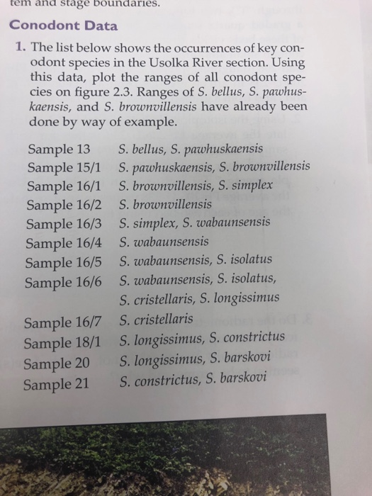 tem and stage boundaries Conodont Data 1. The list below shows the occurrences of key con- odont species in the Usolka River section. Using this data, plot the ranges of all conodont spe- cies on figure 2.3. Ranges of S. bellus, S. pawhus- kaensis, and S. brownvillensis have already been done by way of example. Sample 13 S. bellus, S. pawhuskaensis Sample 15/1 S. pawhuskaensis, S. brownvillensis Sample 16/1 S. brownvillensis, S. simplex Sample 16/2 S. brownvillensis Sample 16/3 S. simplex, S. wabaunsensis Sample 16/4 S. wabaunsensis Sample 16/5 S. wabaunsensis, S. isolatus Sample 16/6 S. wabaunsensis, S. isolatus Sample 16/7 Sample 18/1 Sample 20 Sample 21 S. cristellaris, S. longissimus S. cristellaris S. longissimus, S. constrictus S. longissimus, S. barskovi S. constrictus, S. barskovi