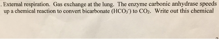 .External respiration. Gas exchange at the lung. The enzyme carbonic anhydrase speeds up a chemical reaction to convert bicarbonate (HCO3) to CO2. Write out this chemical