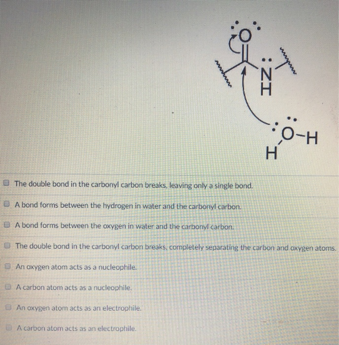 O-H ■ The double bond in the carbonyl carbon breaks, leaving only a single bond. E A bond forms between the hydrogen in water and the carbonyl carbon. O A bond forms between the oxygen in water and the carbonyl carbon. O The double bond in the carbonyl carbon breaks, completely separating the carbon and oxygen atoms. An oxygen atom acts as a nucleophile. A carbon atom acts as a nucleophile. An oxygen atom acts as an electrophile. A carbon atom acts as an electrophile.
